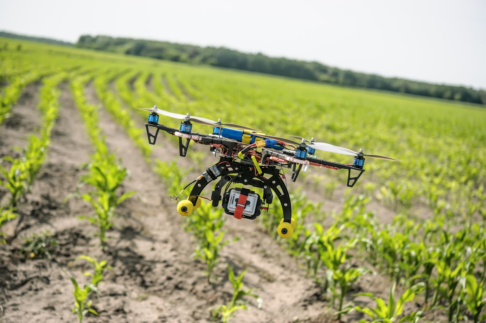 IoT in Agriculture: Revolutionizing Farming Techniques